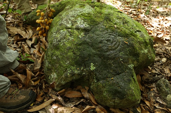 Petroglifo en una roca con la forma de una tortuga. (Foto suministrada)